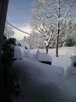 大雪12月20日
