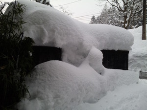 雪景色20110121