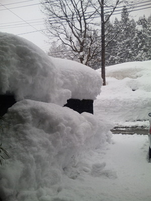 雪景色20110123