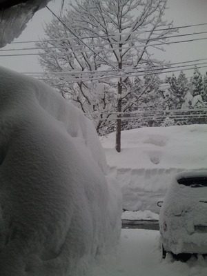 雪景色20110130