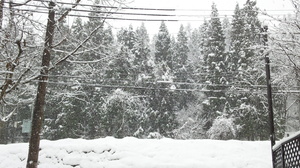 雪景色　20111218