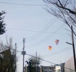 Thumbnail of post image 181