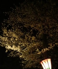 Thumbnail of post image 129