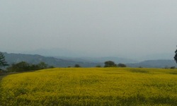 Thumbnail of post image 007