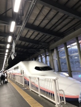 上越新幹線E4系