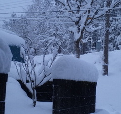 Thumbnail of post image 091