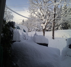 Thumbnail of post image 117