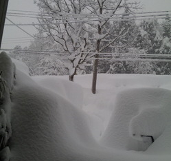 Thumbnail of post image 099