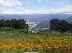 Thumbnail of post image 058