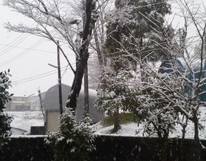 Thumbnail of post image 140