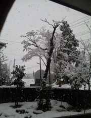 Thumbnail of post image 026