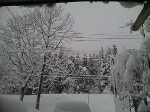 Thumbnail of post image 054