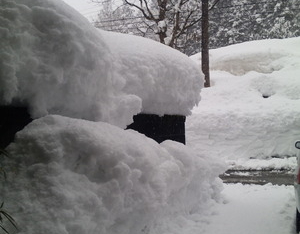 Thumbnail of post image 091