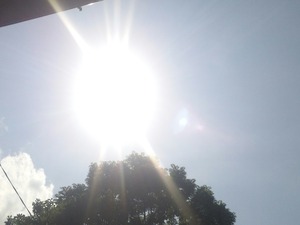 Thumbnail of post image 078